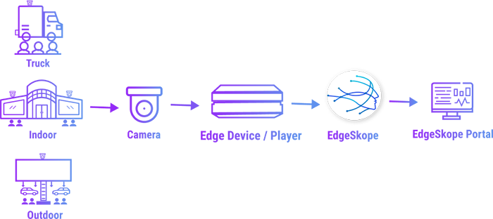 dooh diagram purple